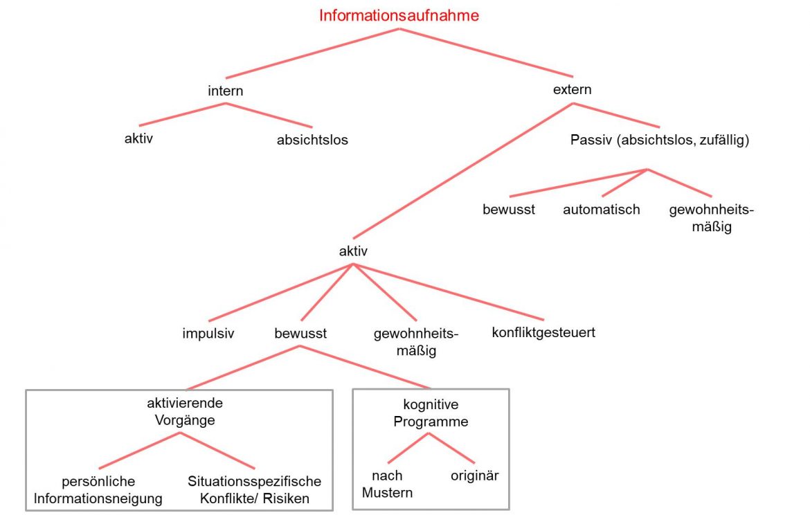 KOGNITIVE PROZESSE DEFINITION BEISPIELE visual data 6