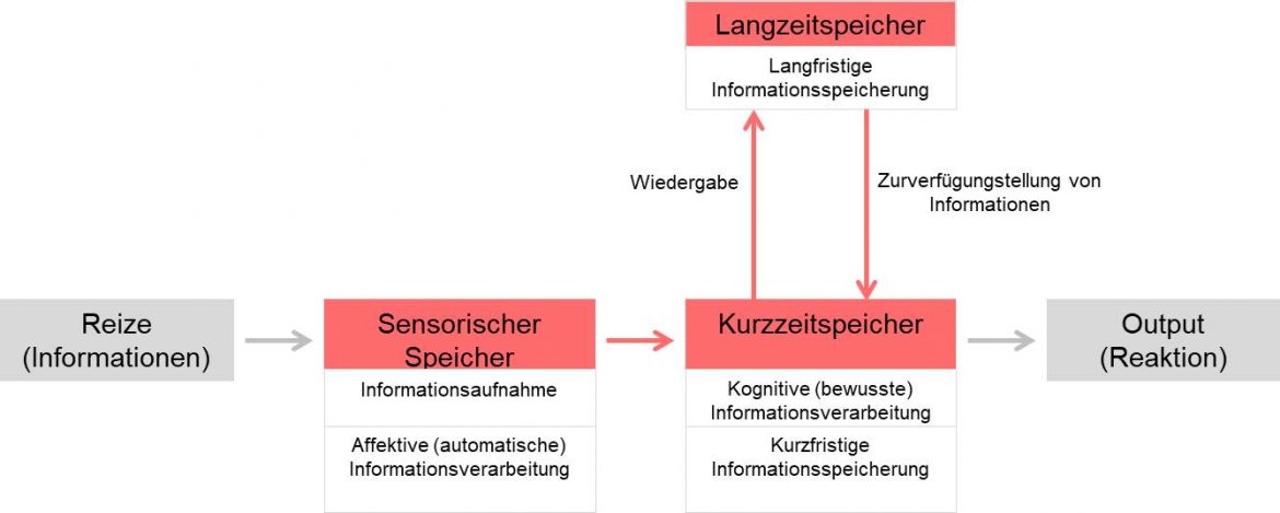 KOGNITIVE PROZESSE DEFINITION BEISPIELE visual data 5